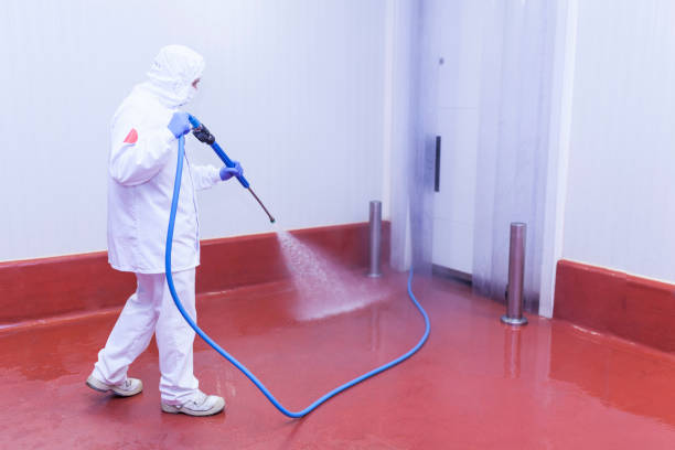 Best Driveway Pressure Washing  in Woodbine, IA
