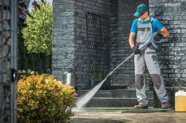 Animal Enclosure Cleaning in Woodbine, IA